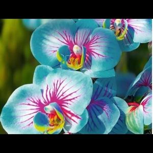 Meet your Posher, Twanda